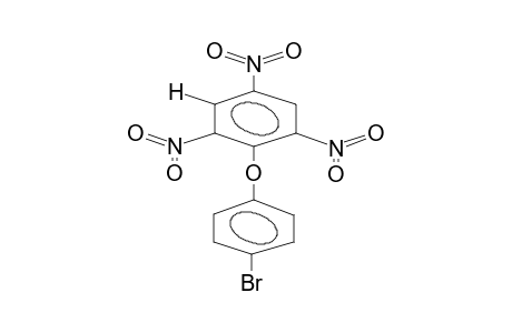 1-(4-BROMOPHENOXY)-2,4,6-TRINITROBENZENE