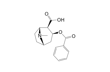 Benzoylecgonine