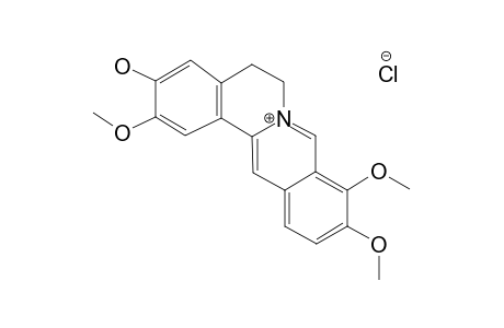 JATRORRHIZINE_CHLORIDE