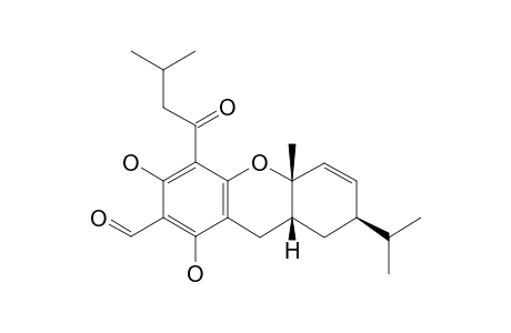 EUGLOBAL-T1