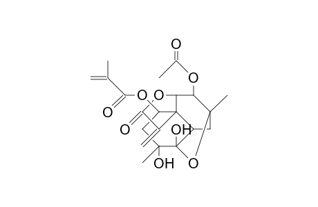 Compound-#4C