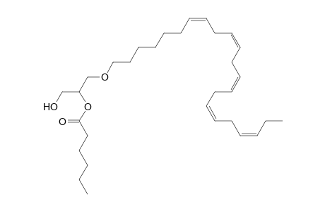 DG O-22:5_6:0