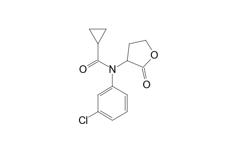 Cyclopropanecarboxamide, N-(3-chlorophenyl)-N-(tetrahydro-2-oxo-3-furanyl)-