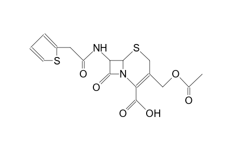 Cephalotin