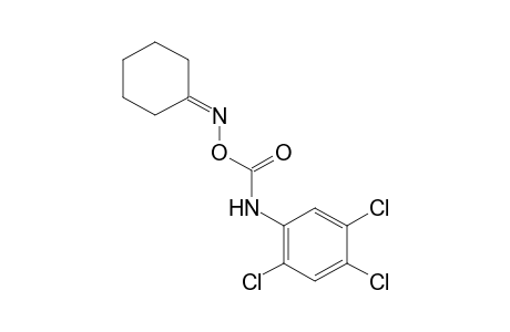 cyclohexanone, O-[(2,4,5-trichlorophenyl)carbamoyl]oxime