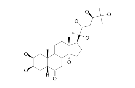 24-EPI-ABUTASTERONE