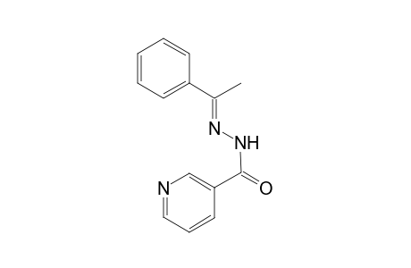 N'-[(E)-1-phenylethylidene]nicotinohydrazide