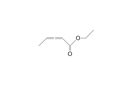 2,3-Pentadienoic acid, ethyl ester