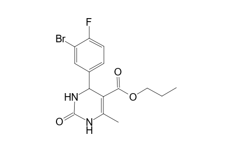 4-(3-Bromo-4-fluoro-phenyl)-6-methyl-2-oxo-1,2,3,4-tetrahydro-pyrimidine-5-carboxylic acid propyl ester