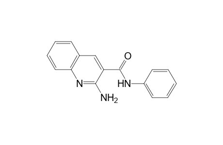 2-Amino-N-phenyl-3-quinolinecarboxamide
