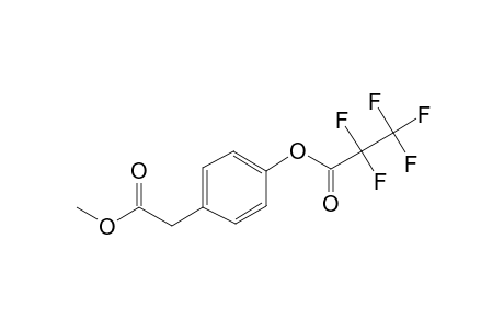 Benzeneacetic acid, 4-(2,2,3,3,3-pentafluoro-1-oxopropoxy)-, methyl ester