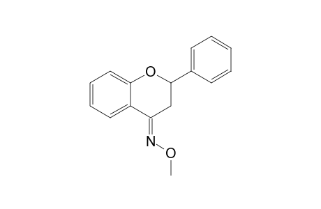 flavonone, 1MEOX