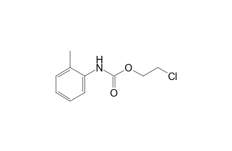 o-methylcarbanilic acid, 2-chloroethyl ester