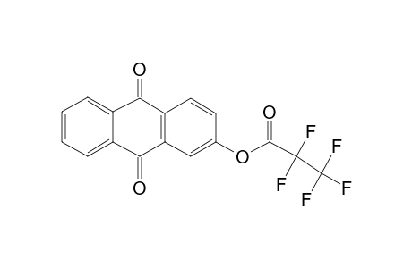 2-Hydroxyanthraquinone, pentafluoropropionate