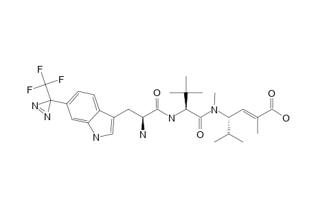 PHOTOHEMIASTERLIN