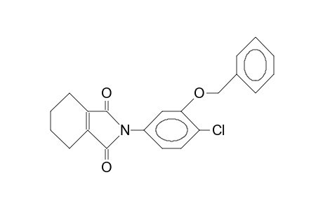 N-(4-Chloro-3-benzyloxy-phenyl)-4,5,6,7-tetrahydro-phthalimide