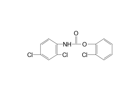 2,4-dichlorocarbanilic acid, o-chlorophenyl ester