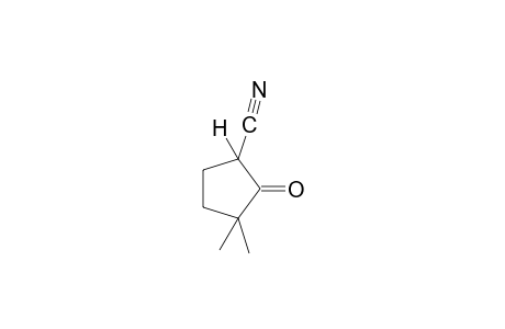 3,3-dimethyl-2-oxocyclopentanecarbonitrile