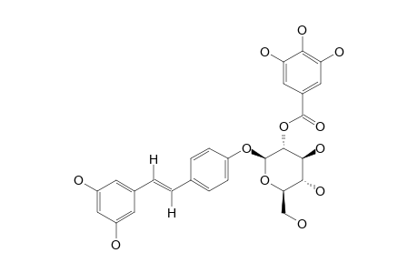 TRANS-3,5,4'-TRIHYDROXY-STILBENE-4'-O-BETA-D-(2-O-GALLOYL)-GLUCOPYRANOSIDE