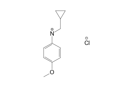 N-(cyclopropylmethyl)-p-anisidine, hydrochloride