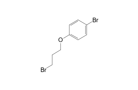 1-bromo-4-(3-bromopropoxy)benzene