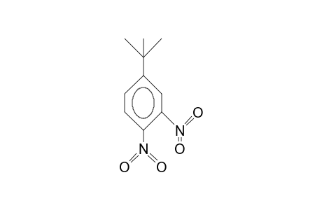 4-tert-BUTYL-1,2-DINITROBENZENE