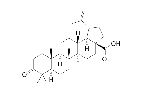 3-oxolup-20(29)-en-28-oic acid