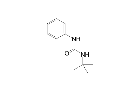 1-(tert-Butyl)-3-phenylurea