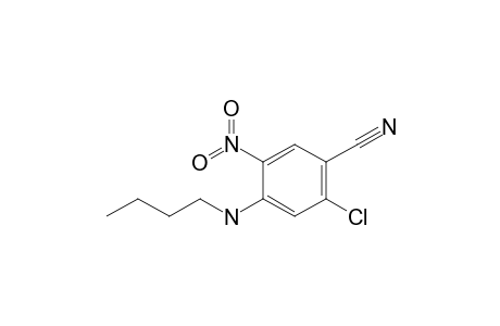 4-Butylamino-2-chloro-5-nitro-benzonitrile