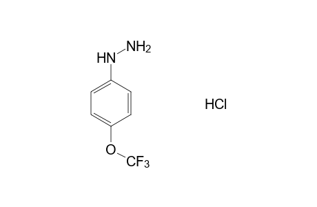 4-(Trifluoromethoxy)phenylhydrazine hydrochloride