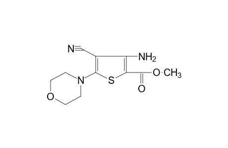 3-amino-4-cyano-5-morpholino-2-thiophenecarboxylic acid, methyl ester