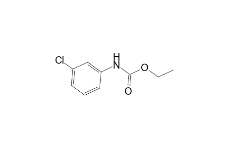 m-chlorocarbanilic acid, ethyl ester