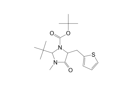 2-t-Butyl-3-methyl-4-oxo-5-thiophen-2-ylmethylimidazolidine-1-carboxylic acid, t-butyl ester