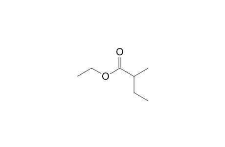 Ethyl 2-methylbutyrate