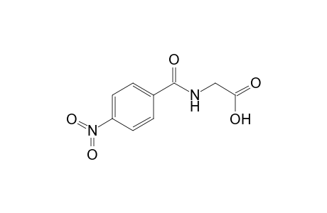 p-nitrohippuric acid