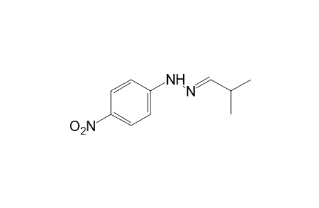 isobutyraldehyde, (p-nitrophenyl)hydrazone