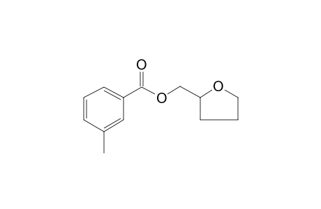 m-Toluic acid, 2-tetrahydrofurylmethyl ester