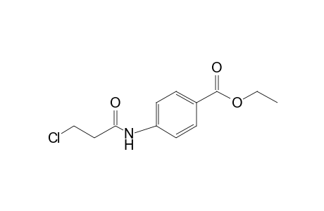 4-(3-chloropropionamido)benzoic acid, ethyl ester