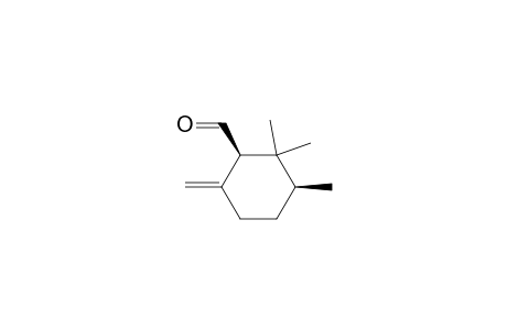 (+)-(1R,3S)-2,2,3-TRIMETHYL-6-METHYLIDENE-CYCLOHEXANE-1-CARBALDEHYDE
