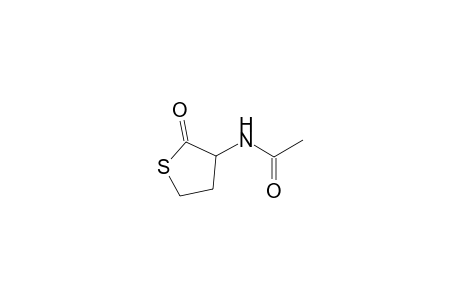 N-(2-Oxotetrahydro-3-thienyl)acetamide