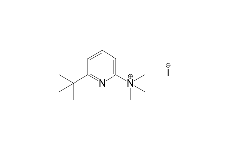 (6-tert-butyl-2-pyridyl)trimethylammonium iodide