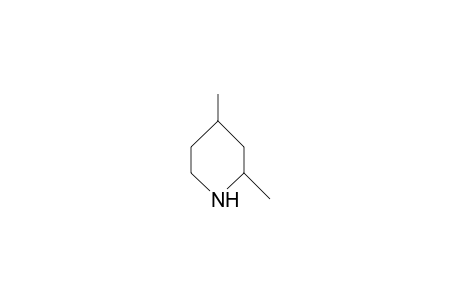 cis-2,4-Dimethyl-piperidine