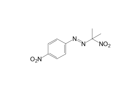 1',4-Dinitro-1'-methylbenzeneazoethane