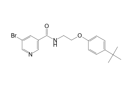 5-Bromo-N-[2-(4-tert-butyl-phenoxy)-ethyl]-nicotinamide