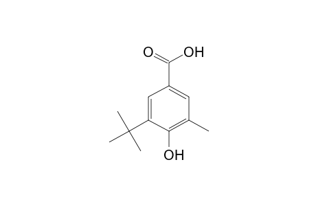 5-Tert-butyl-4-hydroxy-m-toluic acid