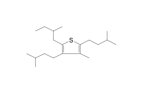 3-METHYL-5-(2'-METHYLBUTYL)-2,4-DI(3'-METHYLBUTYL)THIOPHENE