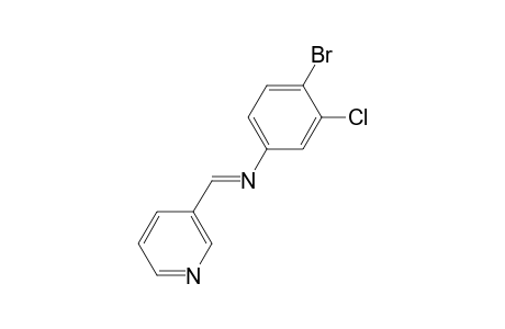 4-bromo-3-chloro-N-[(3-pyridyl)methylene]aniline