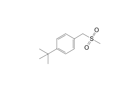 1-tert-Butyl-4-(mesylmethyl)benzene