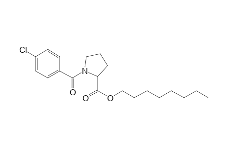 L-Proline, N-(4-chlorobenzoyl)-, octyl ester