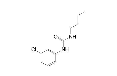 1-butyl-3-(m-chlorophenyl)urea